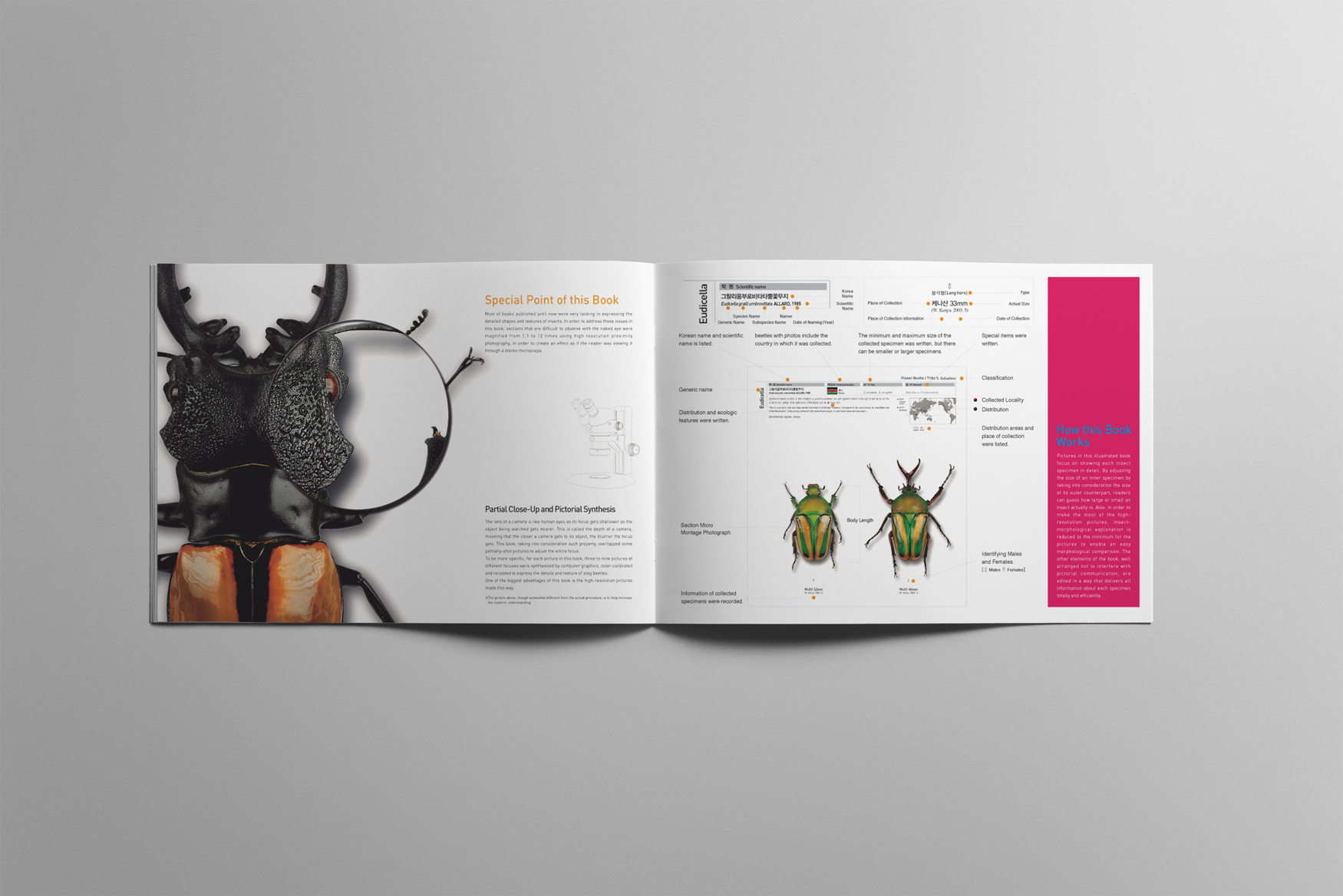 12160_copy_12168_2040746659_1r43sQbH_3ce8f2dc006d98068ce23730d92506e9bbd0ffe0.jpg 이미지크게보기