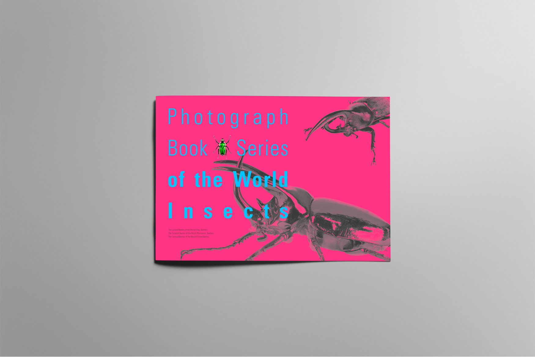 12160_copy_12168_2040746659_wPB2T05e_f43bcb27f277fd534a864b3094041bb198ec9224.jpg 이미지크게보기